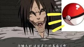 晓蛇爆料视频大全集,揭秘视频大全集精彩瞬间 第3张 晓蛇爆料视频大全集,揭秘视频大全集精彩瞬间 第3张