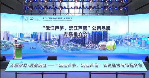 沅江新闻爆料网站官网,聚焦本土热点，传递民生声音  第1张